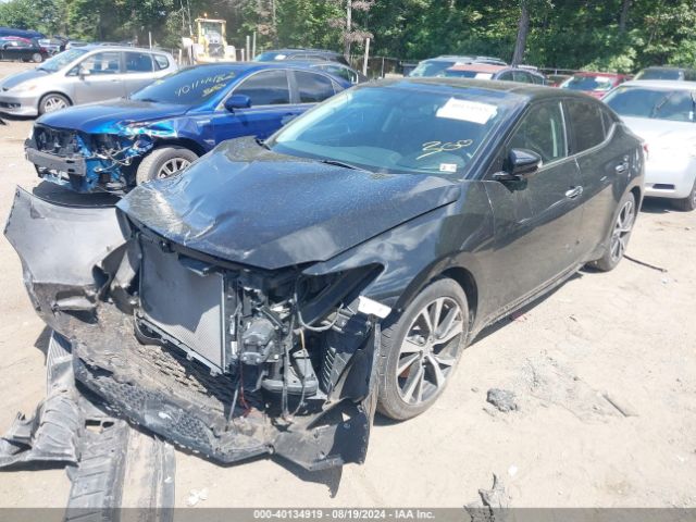 Photo 1 VIN: 1N4AA6AP5JC397307 - NISSAN MAXIMA 