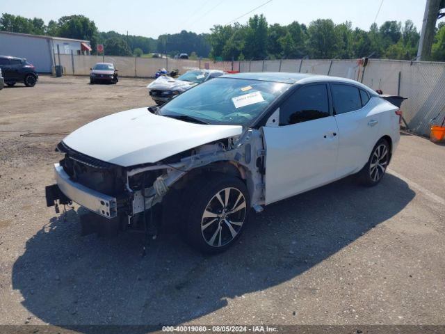 Photo 1 VIN: 1N4AA6AP5JC399302 - NISSAN MAXIMA 