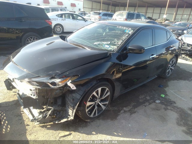 Photo 1 VIN: 1N4AA6AP5JC400447 - NISSAN MAXIMA 