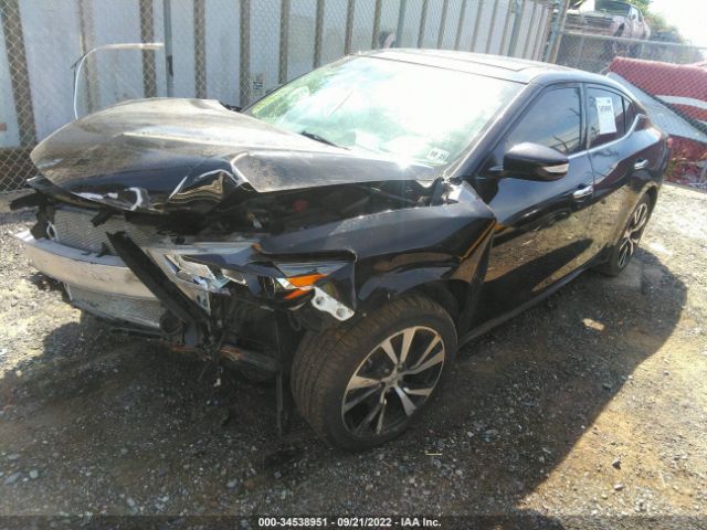 Photo 1 VIN: 1N4AA6AP5JC402375 - NISSAN MAXIMA 