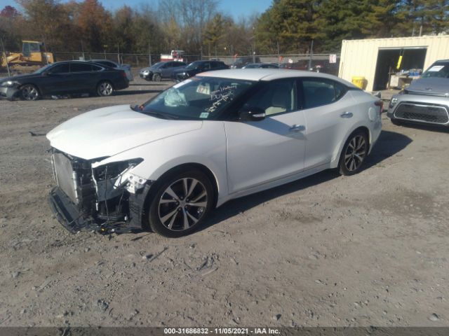 Photo 1 VIN: 1N4AA6AP5JC406734 - NISSAN MAXIMA 