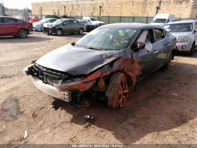 Photo 1 VIN: 1N4AA6AP6GC382064 - NISSAN MAXIMA 