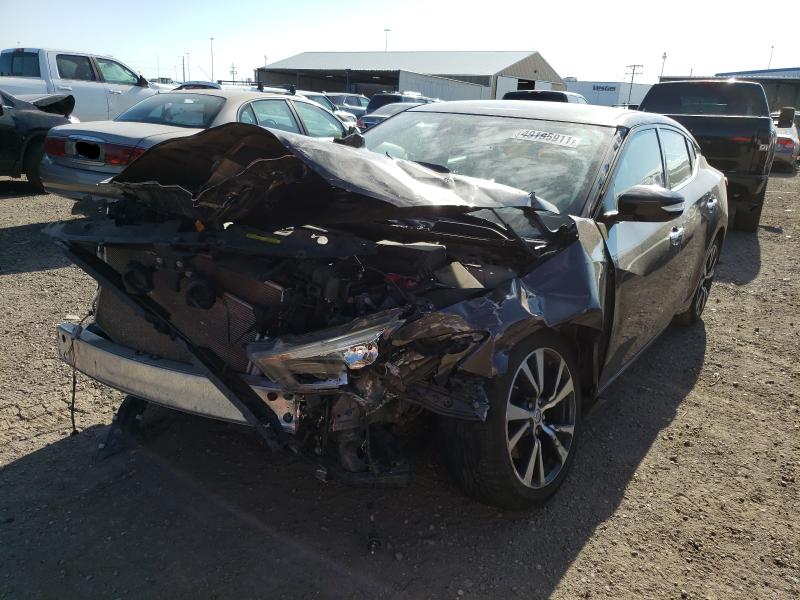 Photo 1 VIN: 1N4AA6AP6GC382761 - NISSAN MAXIMA 3.5 