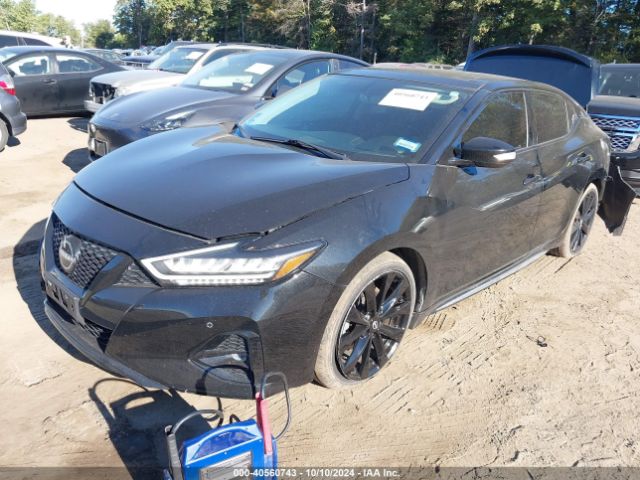 Photo 1 VIN: 1N4AA6AP6GC383781 - NISSAN MAXIMA 