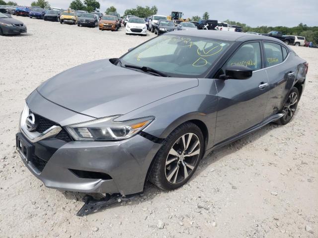 Photo 1 VIN: 1N4AA6AP6GC396093 - NISSAN MAXIMA 3.5 