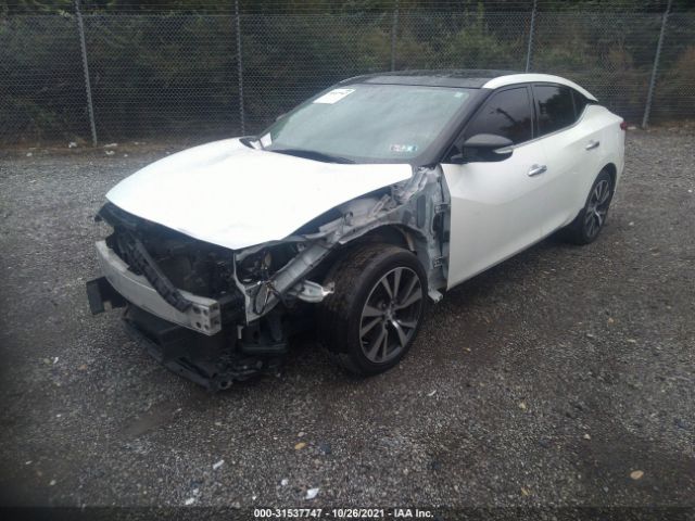 Photo 1 VIN: 1N4AA6AP6GC411725 - NISSAN MAXIMA 