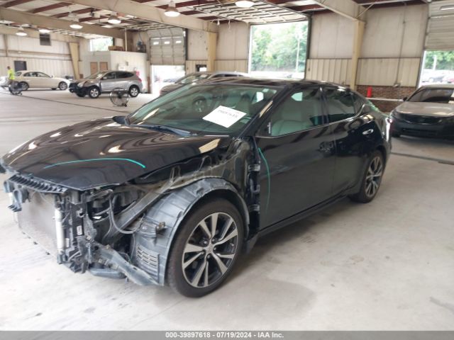 Photo 1 VIN: 1N4AA6AP6GC412423 - NISSAN MAXIMA 