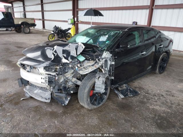 Photo 1 VIN: 1N4AA6AP6GC431604 - NISSAN MAXIMA 