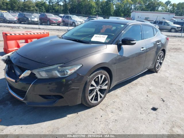 Photo 1 VIN: 1N4AA6AP6GC438648 - NISSAN MAXIMA 