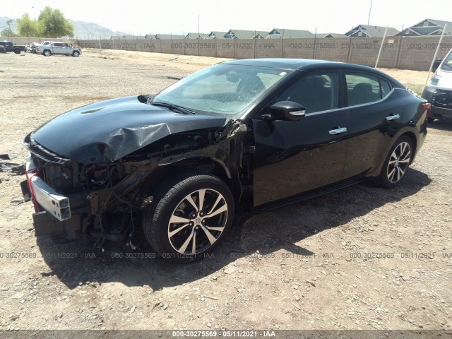 Photo 1 VIN: 1N4AA6AP6GC439749 - NISSAN MAXIMA 