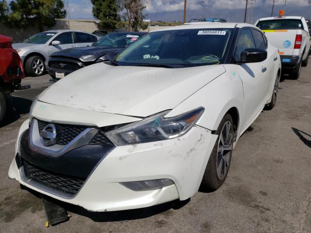 Photo 1 VIN: 1N4AA6AP6GC906295 - NISSAN MAXIMA 3.5 