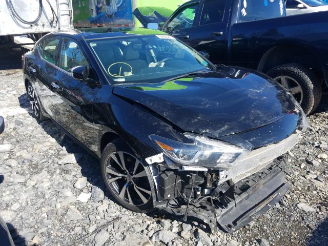 Photo 0 VIN: 1N4AA6AP6HC383927 - NISSAN MAXIMA 3.5 