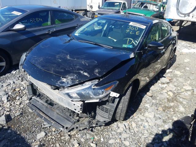 Photo 1 VIN: 1N4AA6AP6HC383927 - NISSAN MAXIMA 3.5 