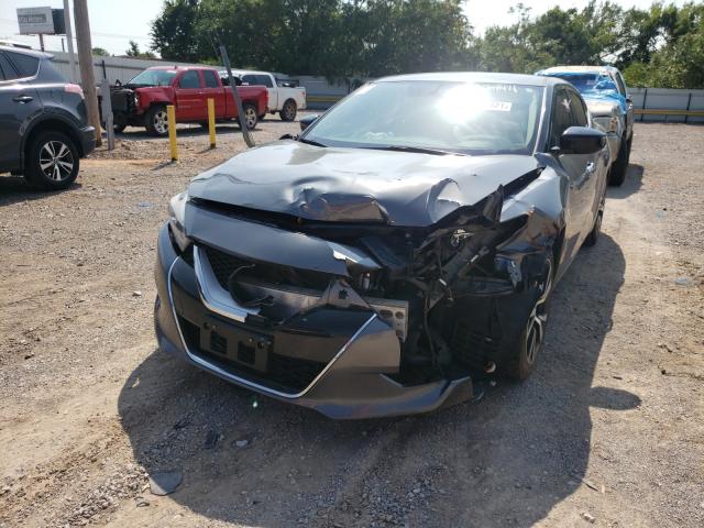 Photo 1 VIN: 1N4AA6AP6HC399187 - NISSAN MAXIMA 3.5 