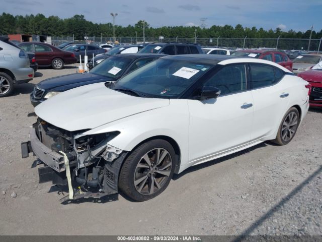 Photo 1 VIN: 1N4AA6AP6HC419700 - NISSAN MAXIMA 