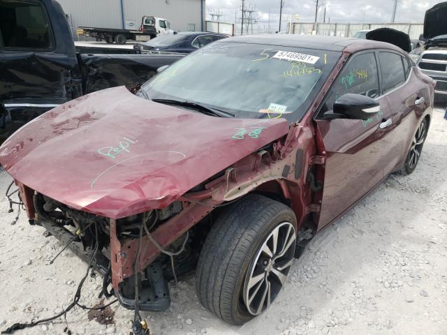 Photo 1 VIN: 1N4AA6AP6HC444483 - NISSAN MAXIMA 3.5 