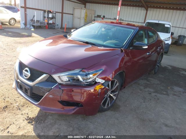 Photo 1 VIN: 1N4AA6AP6JC381083 - NISSAN MAXIMA 