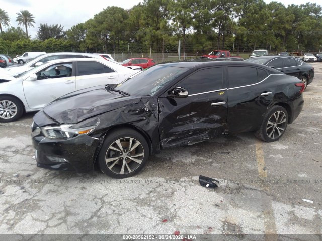 Photo 1 VIN: 1N4AA6AP6JC386882 - NISSAN MAXIMA 