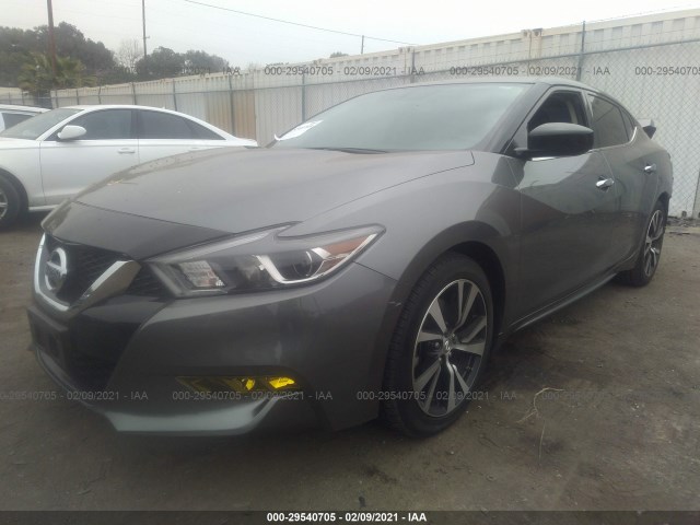 Photo 1 VIN: 1N4AA6AP6JC401896 - NISSAN MAXIMA 