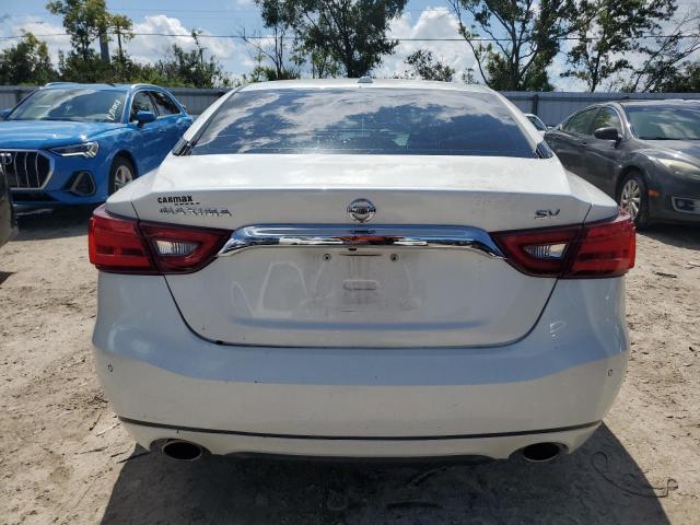 Photo 5 VIN: 1N4AA6AP6JC409495 - NISSAN MAXIMA 3.5 