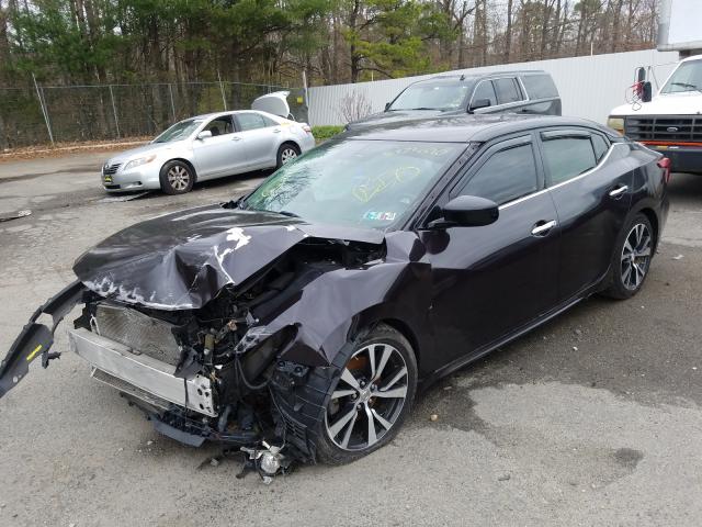 Photo 1 VIN: 1N4AA6AP7GC387368 - NISSAN MAXIMA 3.5 