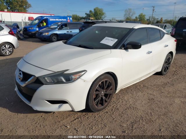 Photo 1 VIN: 1N4AA6AP7GC391453 - NISSAN MAXIMA 