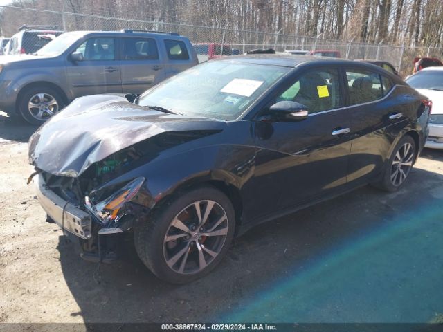 Photo 1 VIN: 1N4AA6AP7GC392585 - NISSAN MAXIMA 