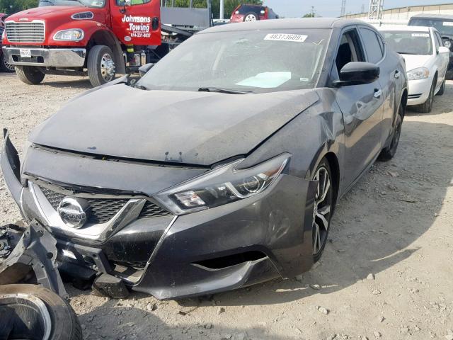 Photo 1 VIN: 1N4AA6AP7GC395907 - NISSAN MAXIMA 3.5 