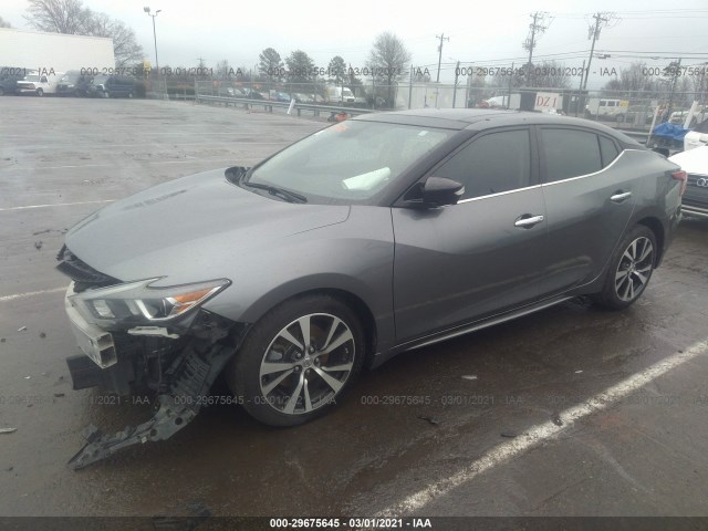 Photo 1 VIN: 1N4AA6AP7GC418473 - NISSAN MAXIMA 