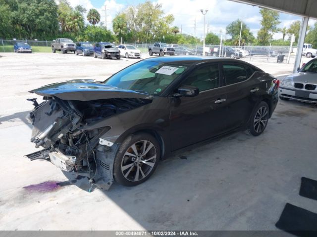 Photo 1 VIN: 1N4AA6AP7GC419350 - NISSAN MAXIMA 