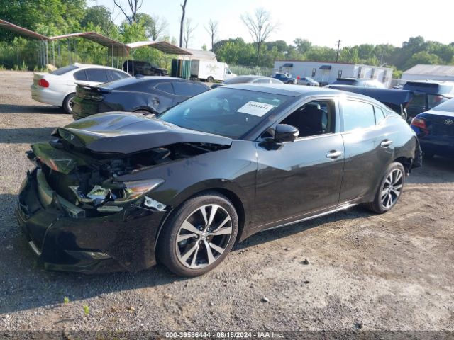 Photo 1 VIN: 1N4AA6AP7GC905365 - NISSAN MAXIMA 