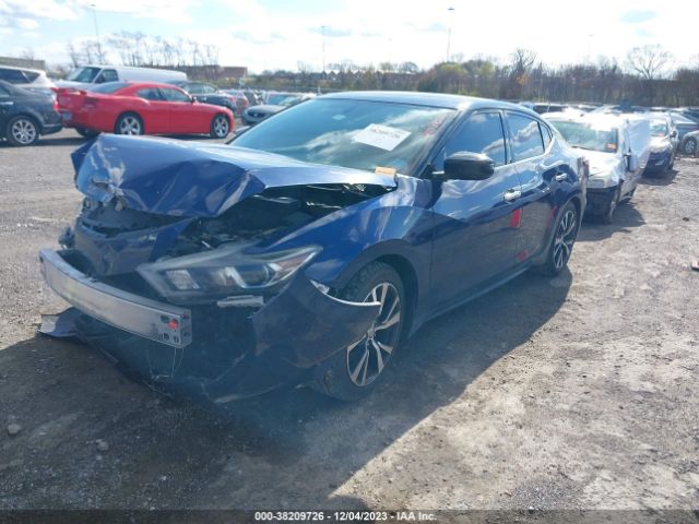 Photo 1 VIN: 1N4AA6AP7HC391762 - NISSAN MAXIMA 