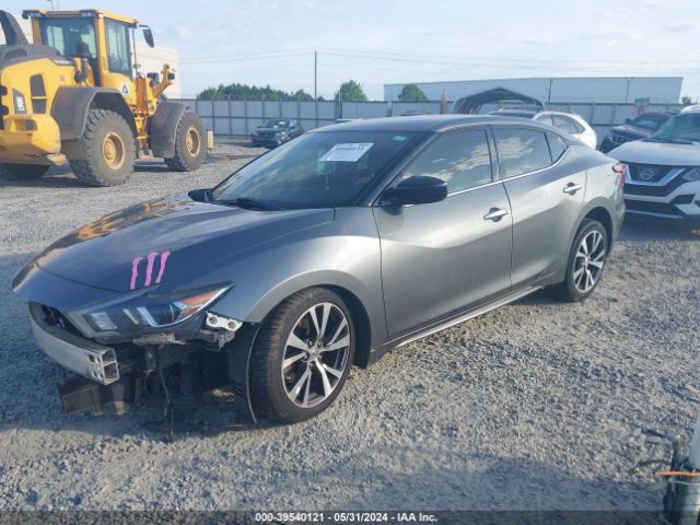 Photo 1 VIN: 1N4AA6AP7HC418314 - NISSAN MAXIMA 