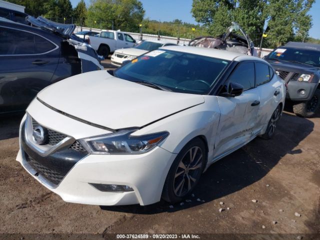 Photo 5 VIN: 1N4AA6AP7HC429944 - NISSAN MAXIMA 