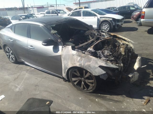 Photo 0 VIN: 1N4AA6AP7HC431709 - NISSAN MAXIMA 