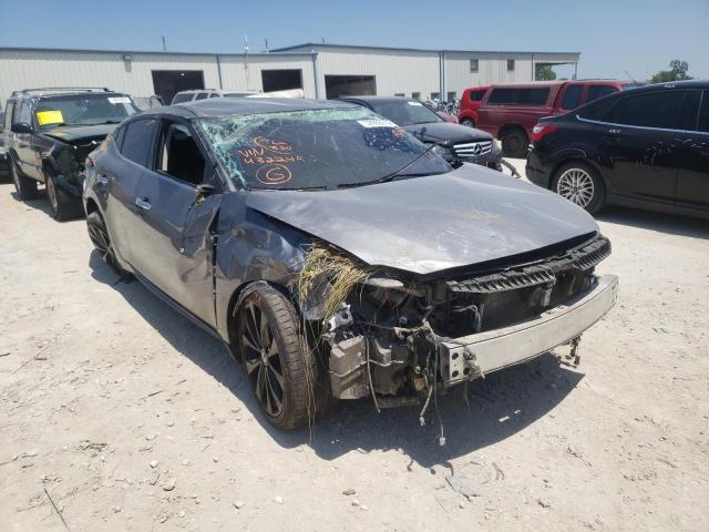 Photo 0 VIN: 1N4AA6AP7HC432245 - NISSAN MAXIMA 3.5 