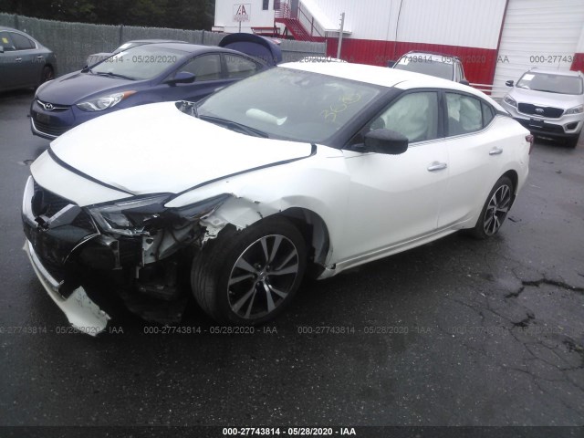 Photo 1 VIN: 1N4AA6AP7HC454357 - NISSAN MAXIMA 