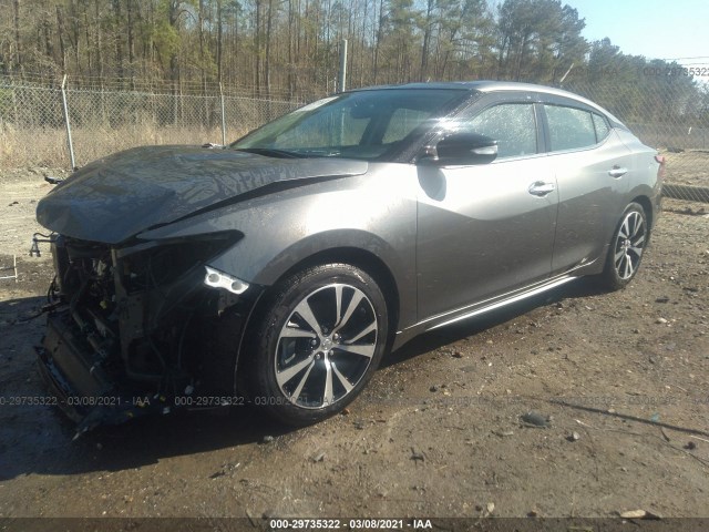 Photo 1 VIN: 1N4AA6AP7JC386244 - NISSAN MAXIMA 