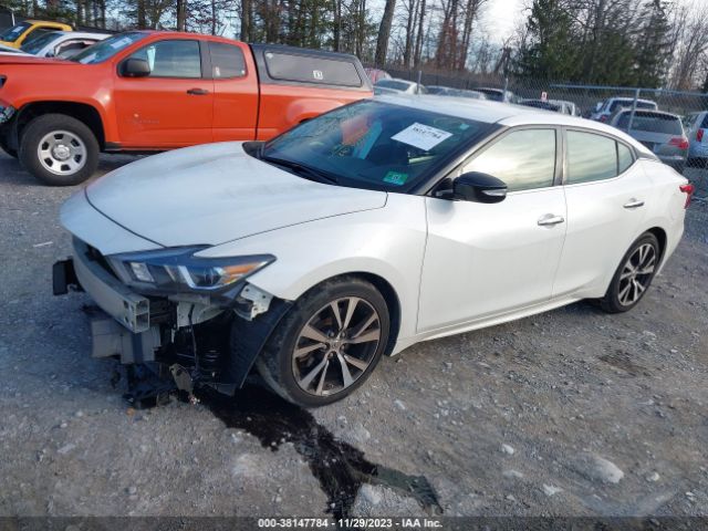 Photo 1 VIN: 1N4AA6AP7JC402622 - NISSAN MAXIMA 