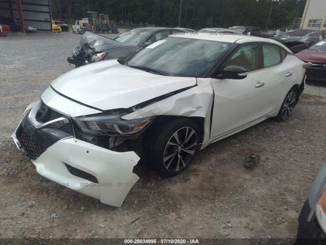 Photo 1 VIN: 1N4AA6AP8GC385225 - NISSAN MAXIMA 