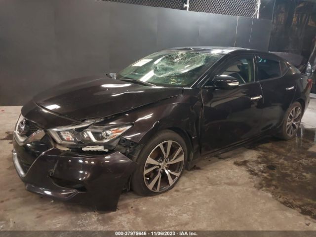 Photo 1 VIN: 1N4AA6AP8GC393762 - NISSAN MAXIMA 