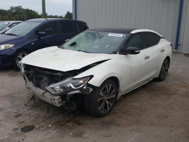 Photo 1 VIN: 1N4AA6AP8GC404016 - NISSAN MAXIMA 3.5 