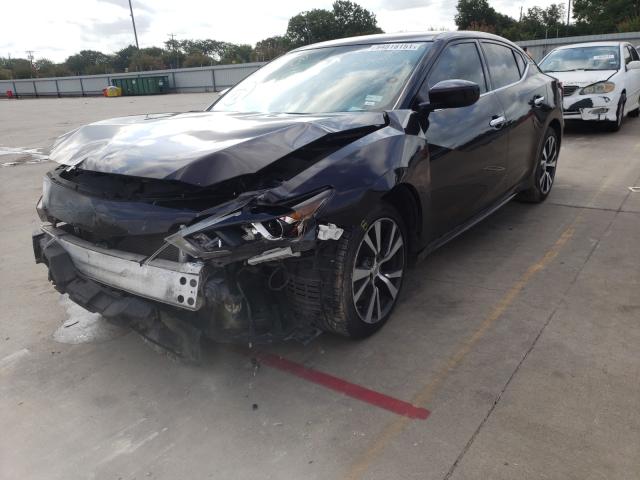 Photo 1 VIN: 1N4AA6AP8GC404467 - NISSAN MAXIMA 3.5 