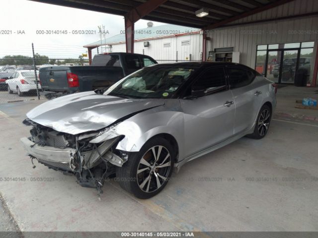 Photo 1 VIN: 1N4AA6AP8GC404727 - NISSAN MAXIMA 