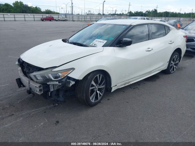 Photo 1 VIN: 1N4AA6AP8GC409250 - NISSAN MAXIMA 