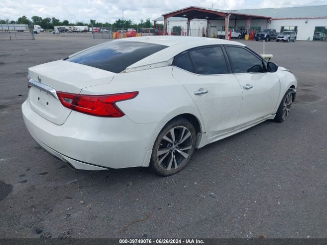 Photo 3 VIN: 1N4AA6AP8GC409250 - NISSAN MAXIMA 