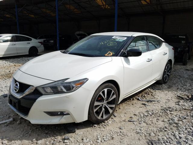 Photo 1 VIN: 1N4AA6AP8GC425920 - NISSAN MAXIMA 3.5 