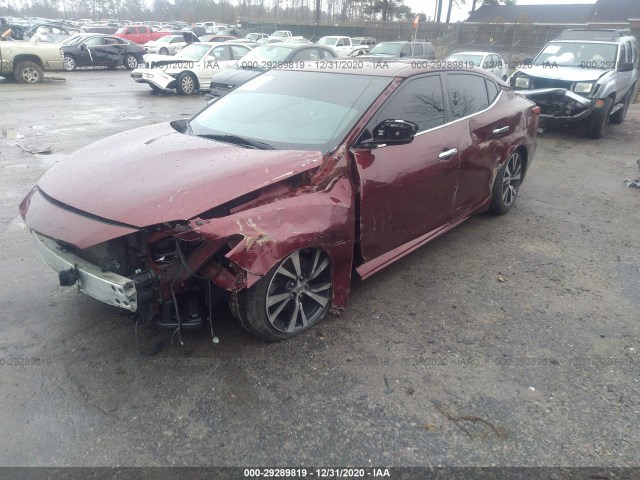 Photo 1 VIN: 1N4AA6AP8GC431166 - NISSAN MAXIMA 