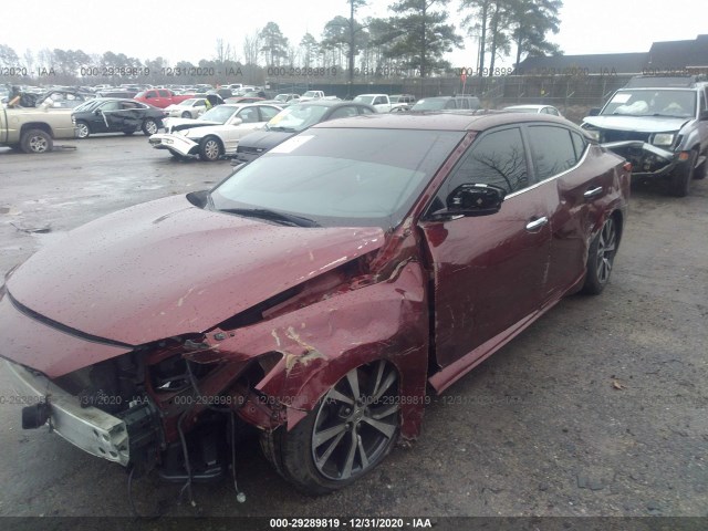 Photo 5 VIN: 1N4AA6AP8GC431166 - NISSAN MAXIMA 