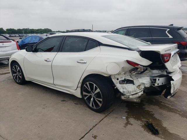 Photo 1 VIN: 1N4AA6AP8GC434407 - NISSAN MAXIMA 